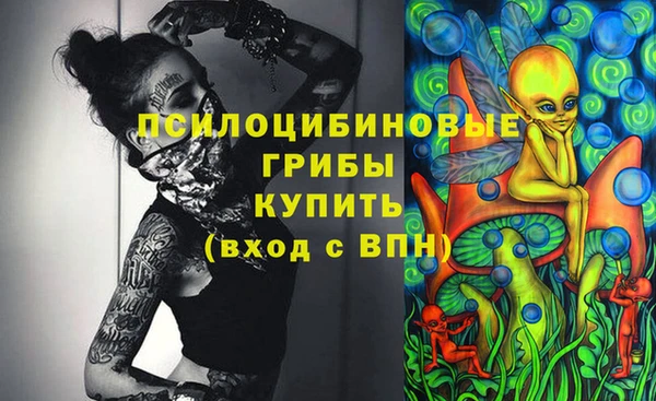 Альфа ПВП Баксан