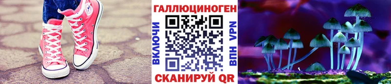 нарко площадка как зайти  Спасск-Дальний  Галлюциногенные грибы прущие грибы 